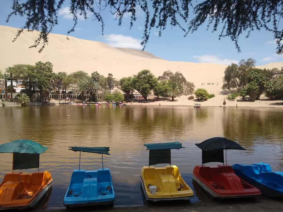 Lima: Ballestas Islands, Huacachina Oasis & Nazca Lines Tour - The Long Day: Who Should Book It?
