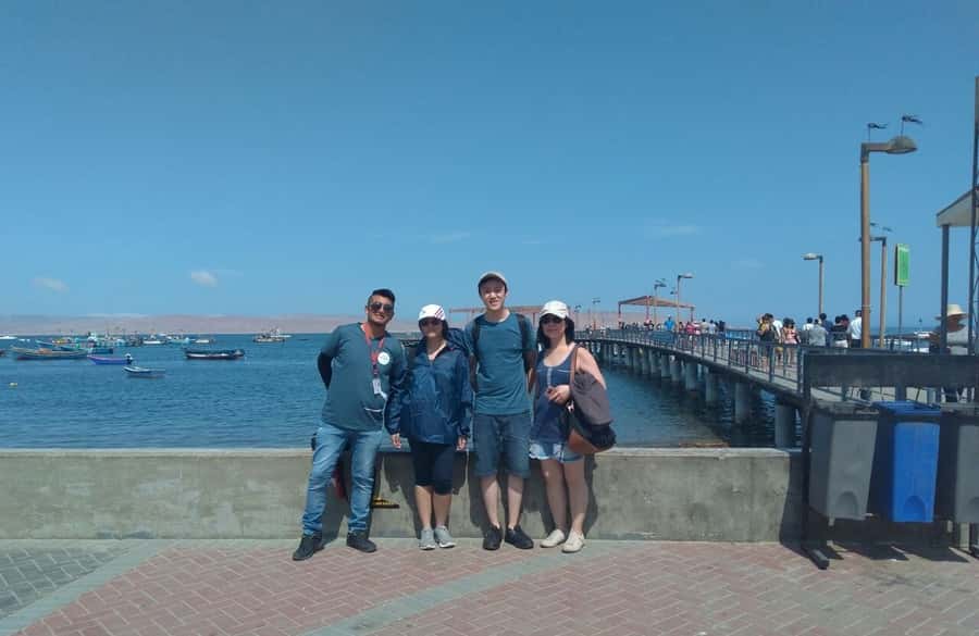 Lima: Ballestas Islands, Huacachina Oasis & Nazca Lines Tour - Ballestas Islands and the Paracas Candelabra