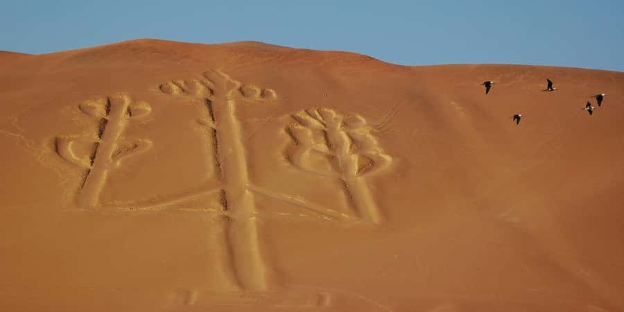 Lima: Ballestas Islands, Winery and Nazca Lines Private Tour - Why This Tour Makes Sense From Lima