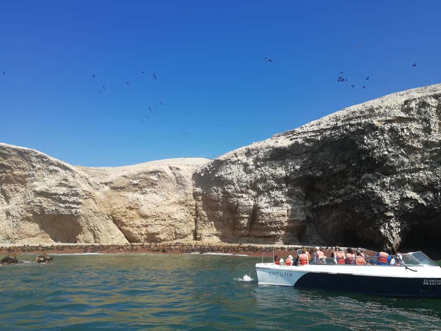 Lima: Ballestas Islands, Winery and Nazca Lines Private Tour - Ballestas Islands: Peru’s Wildlife Morning