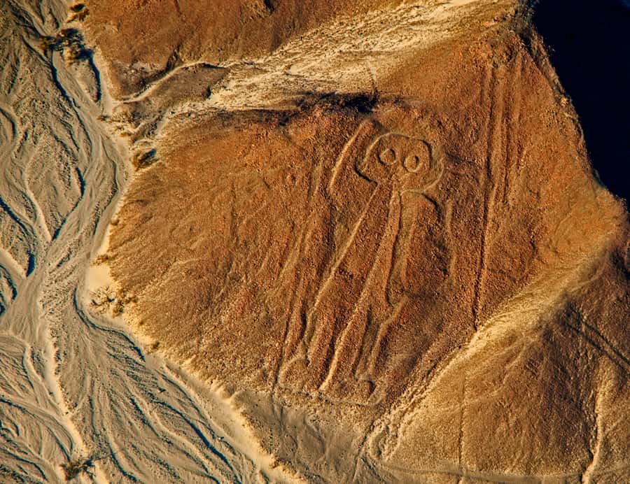 Lima: Ballestas Islands, Winery and Nazca Lines Private Tour - From the Islands to the Nazca Airport