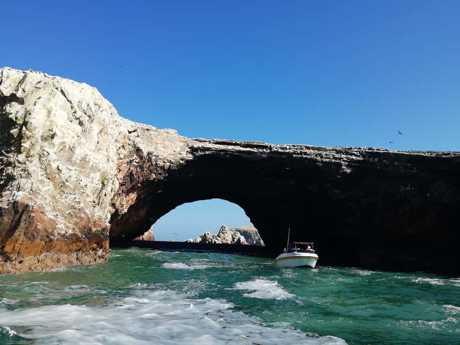 Lima: Ballestas Islands, Winery and Nazca Lines Private Tour - Lunch in Paracas After the Flight