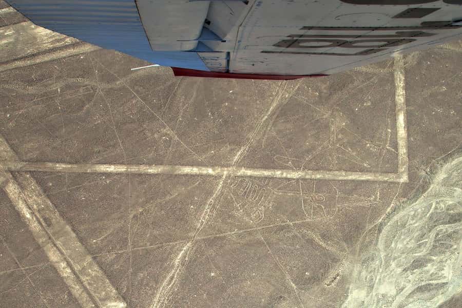 Lima: Ballestas Islands, Winery and Nazca Lines Private Tour - The 4:30 AM Start From Lima