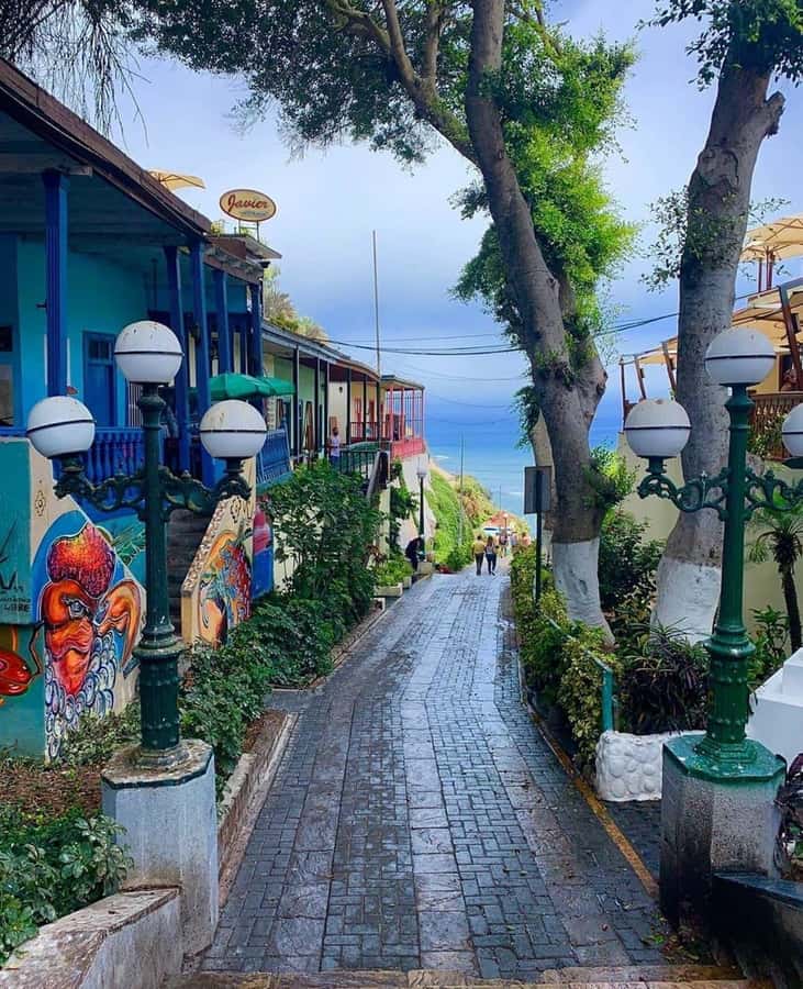 Lima: Barranco Walking Tour – Street Art & Photo Stops - Key points at a glance