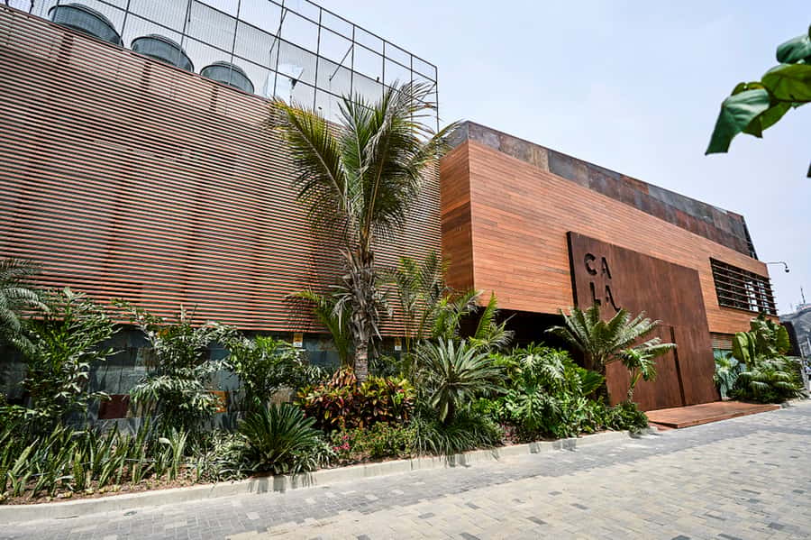 Lima: Demo Cooking Class with Lunch at Cala Restaurant - How the two-hour schedule feels