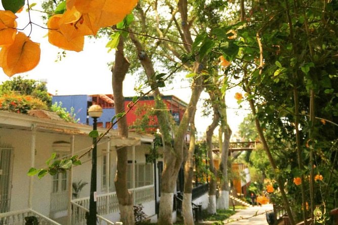 Lima Gourmet Food Tour: Daytime Experience - San Isidro puts you behind the ceviche counter