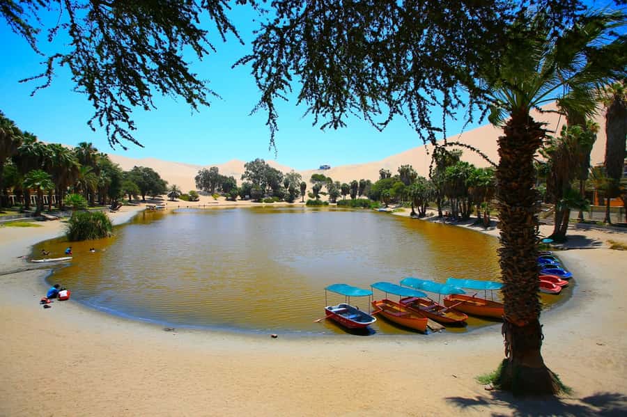 Lima: Huacachina, Winery, & Nazca Lines from Pisco Airport - What the $620 price includes