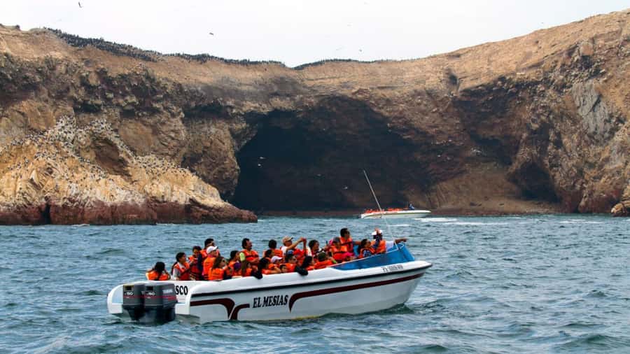Lima | Islas Palomino Tour | Swim with Sea Lions - Practical planning for your Callao morning