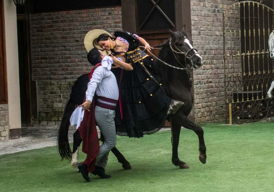 Lima: Magic Water Circuit and Dinner Show Tickets - Is $90 a fair price for the evening?