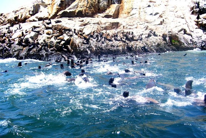 Lima: Palomino Islands Excursion & Swimming with Sea Lions with Hotel Transfers - The boat ride past four protected islands
