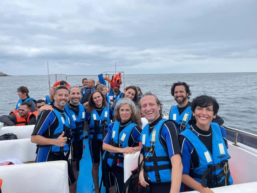 Lima: Palomino Islands Speedboat Tour & Swim with Sea Lions - Key points to know before you book
