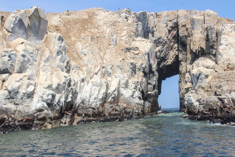 Lima: Palomino Islands Speedboat Tour & Swim with Sea Lions - The speedboat ride toward El Camotal and San Lorenzo