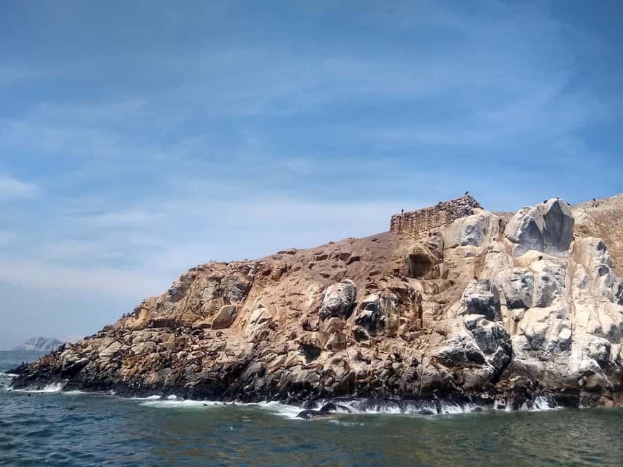 Lima: Palomino Islands Speedboat Tour & Swim with Sea Lions - Birdlife around San Lorenzo and Palomino