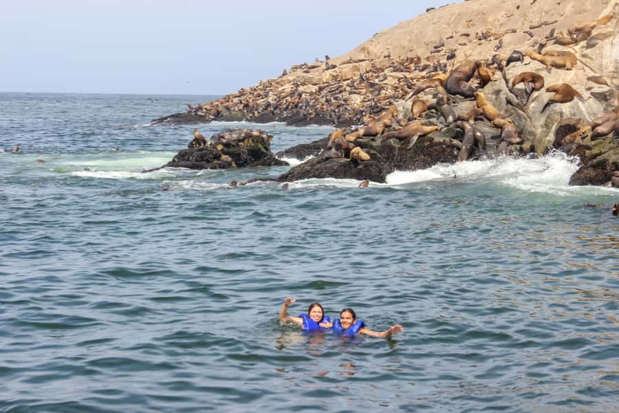 Lima: Palomino Islands Speedboat Tour & Swim with Sea Lions - What the two and a half hours at sea feel like