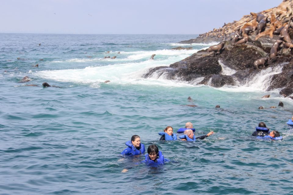 Lima: Palomino Islands Speedboat Tour & Swim with Sea Lions - Who should book this experience?
