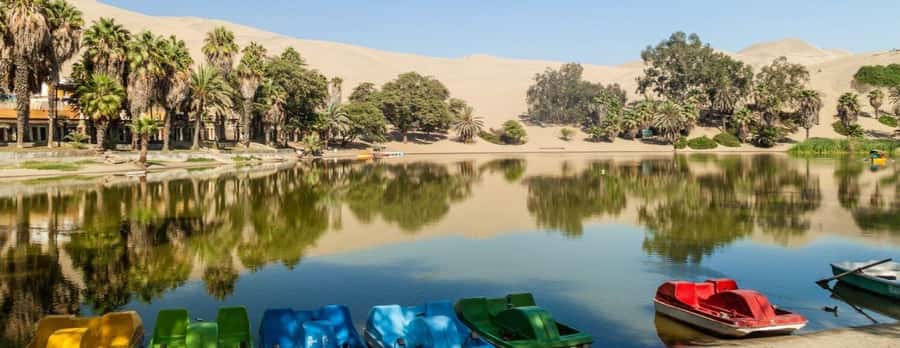 Lima: Paracas and the Huacachina Oasis Guided Day Tour - Who Will Enjoy This Tour Most