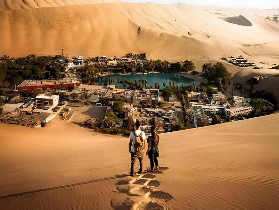 Lima: Paracas & Huacachina Oasis Day Trip with Wine & Dunes - Key points to know before booking