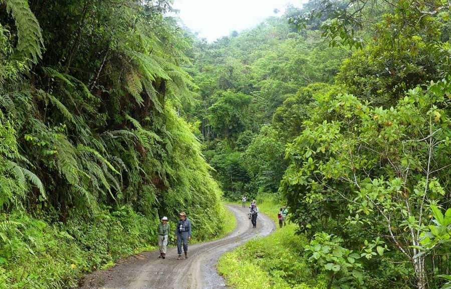Living Nature from Cusco: 3 Days Manu Jungle all inclusive - Key points to know before booking