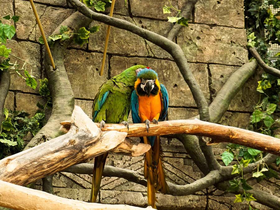 Living Nature from Cusco: 3 Days Manu Jungle all inclusive - What $390 includes, and where extra costs appear