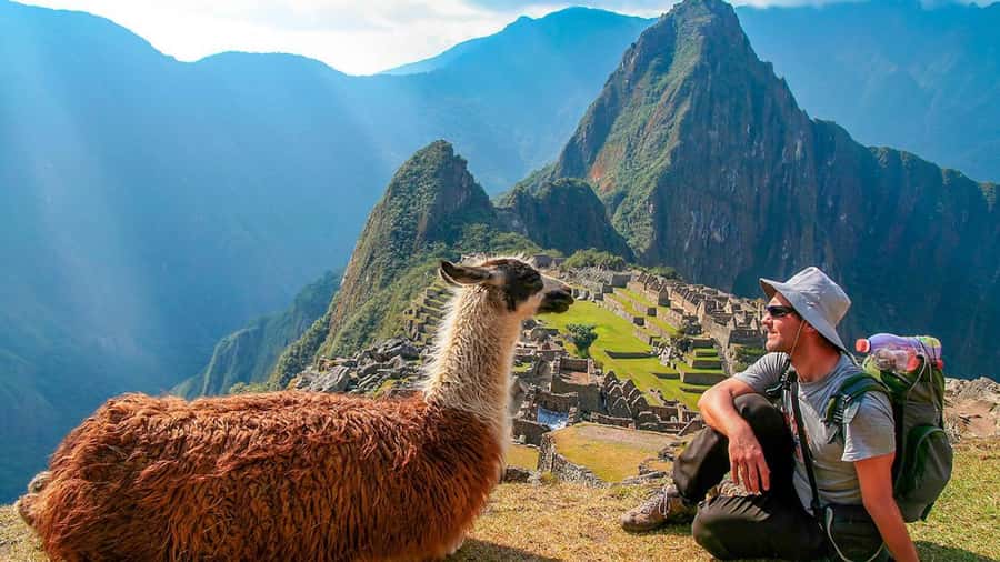 Machu Picchu: 1-day tour by Vistadome Panoramic train - The 4:00 a.m. pickup from Cusco