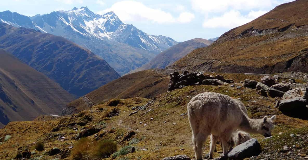 Machu Picchu 2 Days / 1 Night (By Bus) - What the $170 Price Really Covers