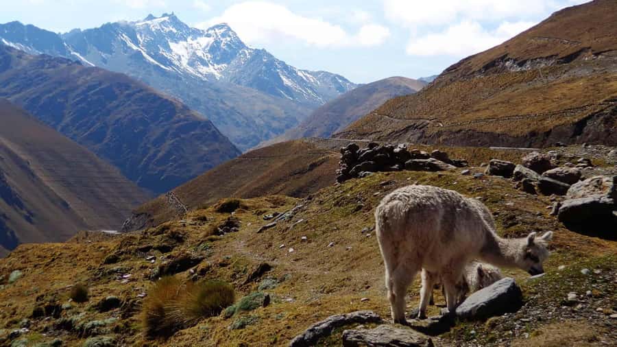 Machu Picchu 2 Days / 1 Night (By Bus) - Day 1: Cusco to Abra de Malaga at 4,316 Meters