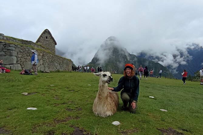 Machu Picchu Day Trip From Cusco By Panoramic Vistadome Train - Why this day trip works well from Cusco