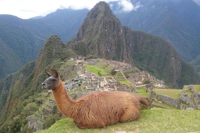 Machu Picchu Day Trip from Cusco – Full-Day Tour - Inside Machu Picchu with a professional guide