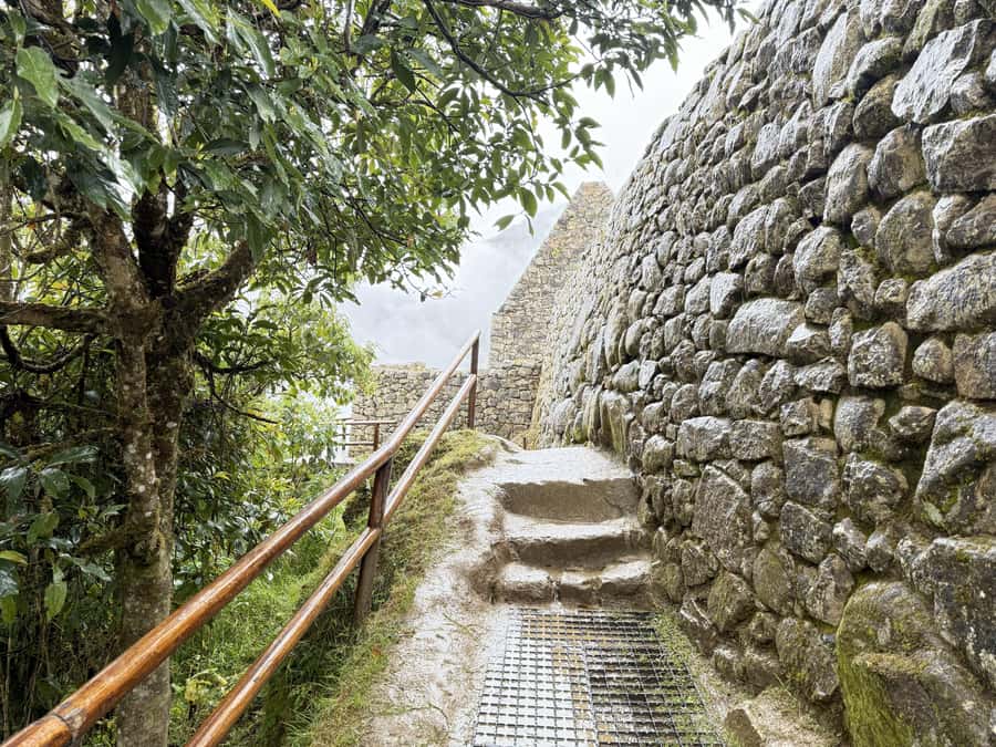 Machu Picchu Entry Ticket and Bus from Aguas Calientes - Is $119 a fair price?