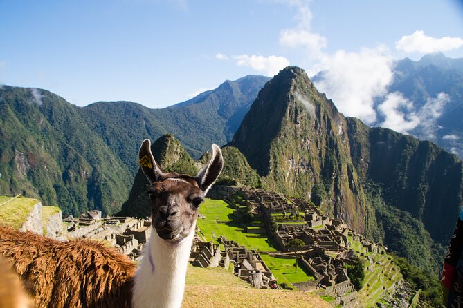 Machu Picchu from Cusco : tickets, guide and more - Key points at a glance