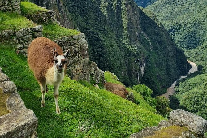 Machu Picchu from Cusco : tickets, guide and more - Entering Machu Picchu on Circuit 2 or Circuit 3