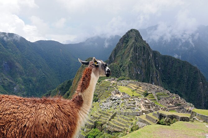 Machu Picchu from Cusco : tickets, guide and more - January to April: the Ollantaytambo connection