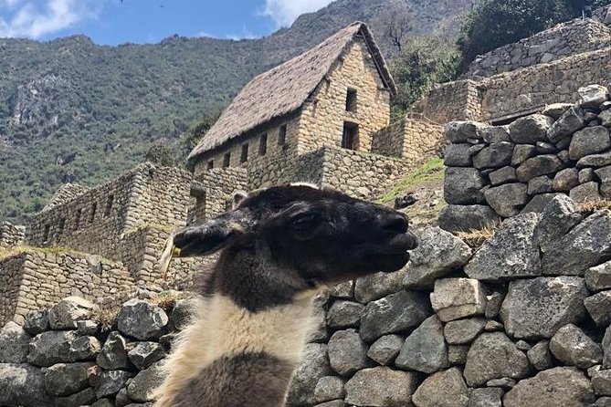 Machu Picchu Full Day from Cusco - The 4:00 a.m. departure from Cusco