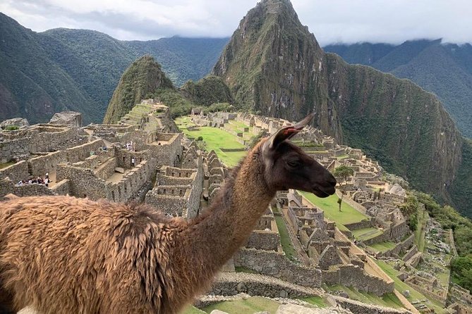 Machu Picchu Full Day from Cusco - What the guides add to the visit