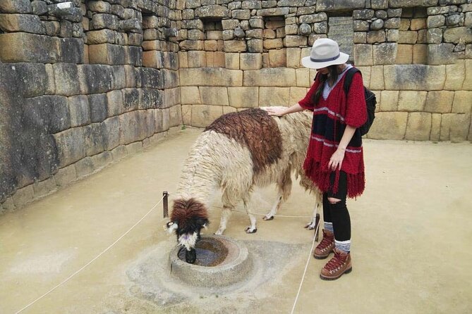Machu Picchu Full Day - Private Tour - Meeting your guide in Aguas Calientes