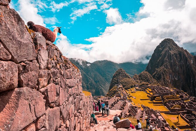 Machu Picchu Full-Day Tour by Train from Cusco - Small Group - Ollantaytambo station and the morning train