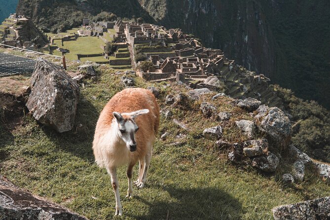 Machu Picchu Full-Day Tour by Train from Cusco - Small Group - Aguas Calientes and the climb to the citadel