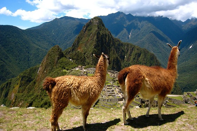Machu Picchu Full-Day Tour from Cusco with Panoramic Train - Ollantaytambo to Aguas Calientes by train