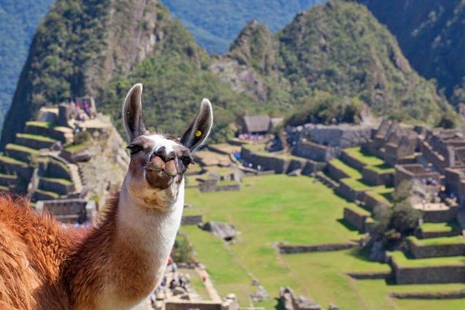Machu Picchu Full Day Tour from Cusco with Train & Entrance - What the $447.20 price includes
