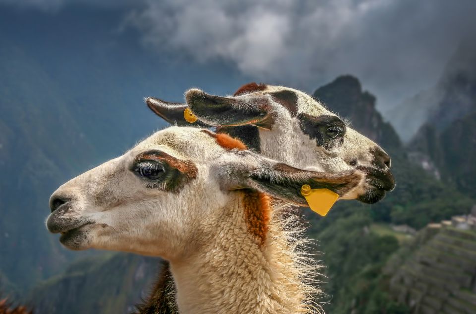 Machu Picchu: Private Full-Day Tour with Afternoon Entrance - Is $449 per person a fair price?