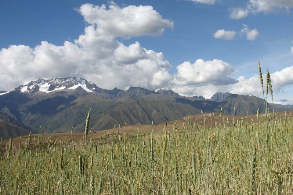 Machu Picchu: Private Full-Day Tour with Afternoon Entrance - Who will enjoy this private Machu Picchu day?
