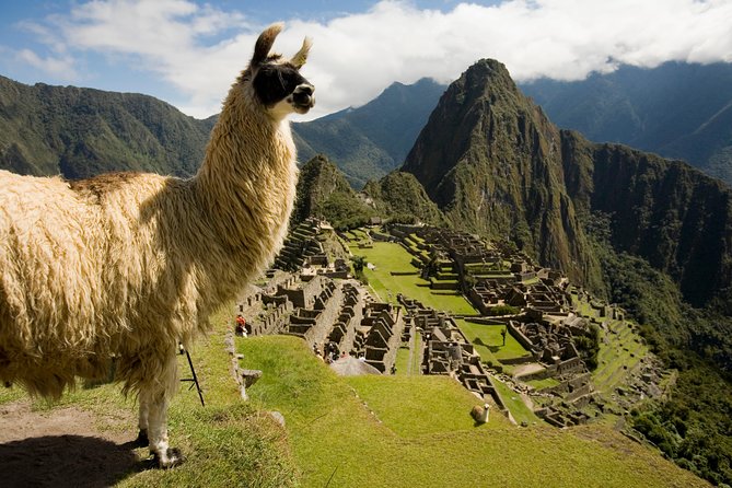 Machu Picchu Private Guided Tour from Aguas Calientes - Timing: why 5:30 a.m. can be worth the alarm