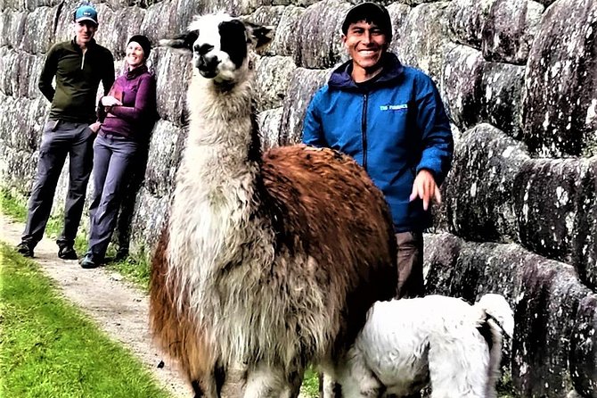 Machu Picchu: Private Tour Guide Service (2–3 Hours) - What the $98 group price is really worth