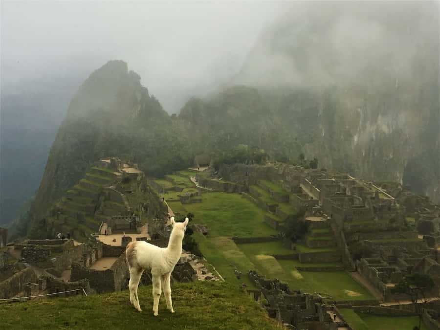 Machu Picchu: Private Tour Guide Service - The guides and the style of interpretation