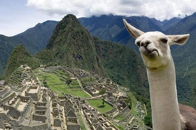 Machu Picchu Small Group Day Tour from Cusco - How the group size affects your day