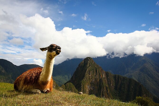 Machupicchu - Private Guide - Ollantaytambo and the 1-hour-45-minute train
