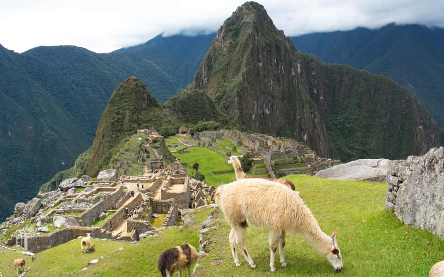 Machupicchu tour by tourist train in 2 days - The guide and group experience
