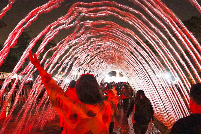 Magic Water & Laser Light Show Including Pickup And Drop-Off - Who should book this Lima night tour?