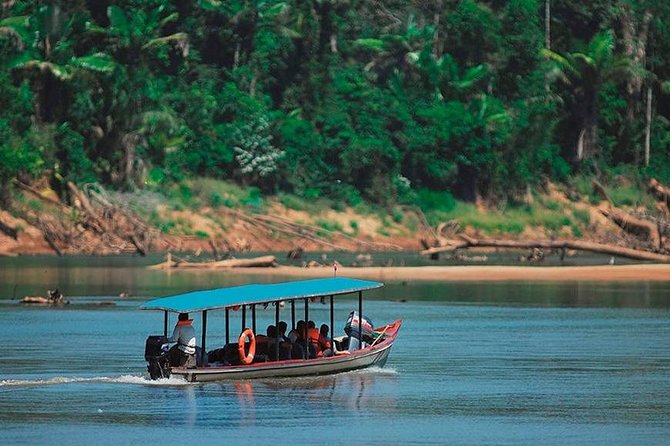 Manu Jungle Tour (4 Days) - What the $545 price really covers