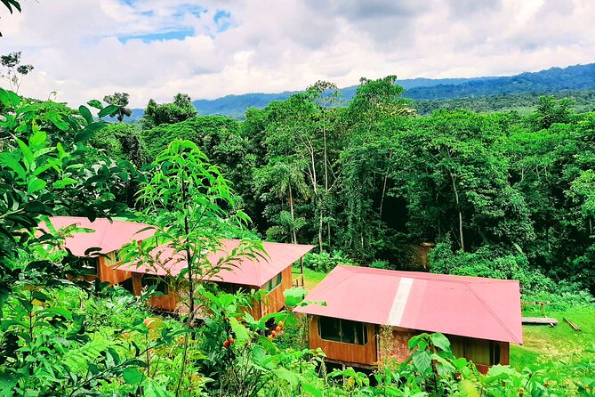 Manu jungle tours from Cusco (2 days). - Cloud forest walks, waterfalls, and Peru’s national bird